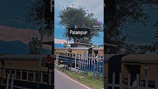 Toy Train of Himachal Pradesh #palampur #himachal #train #nature #mountains #ytshorts #viral