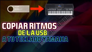 Cómo transferir ritmos de la usb al teclado y viceversa | Tienda de ritmos y samples Avofc