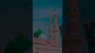 Mustafa ﷺ Kya Mile Zindagi Mil Gayi - Eid Milad Un Nabi Status - Naat Sharif Status #ytshorts