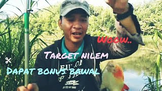 MANCING NILEM / Melem di sungai progo, di bonusi bawal