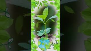 World Environment Day 2023 || World environment Day WhatsApp Status ||