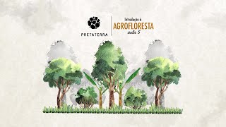 PRT Academy - Curso Seed Agroflorestal - Aula 5 - O Design Amazônico