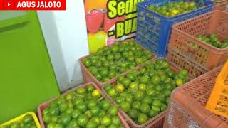 Harga Jeruk Santang Terbaru