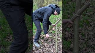 Part 3 - Survival Tour 2024 #survival #natur #wald #camping