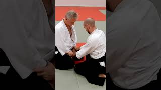 Aikido technique SUWARI KOKYU HO (kokyu dosa), by Stefan Stenudd