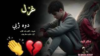 دوه مخي دي دوه ژبي دې دوه رنګه دي دا خلق|Pashto viral poetry|Pashto viral shayeri|Best pashto ghazal