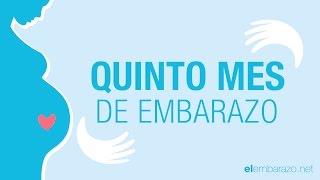 Quinto mes de embarazo | 5 meses de embarazo | El embarazo mes a mes