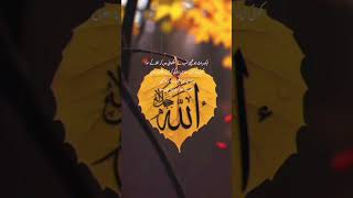 Oh Allah The Almighty🥰|#viral #shortsfeed #shortvideo #shorts #youtubeshorts #ytshorts #like #foryou