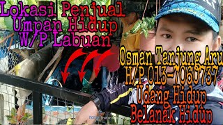 Lokasi Penjual Umpan Hidup Untuk Sahabat2 Yang Ingin Mancing Bottom/Pantai (Udang & Belanak Hidup)