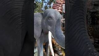 Elephant #amazing #mural #park #shorts