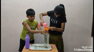 IGNITE SCIENCE | Pressure in Fluids | Experimental Demonstration