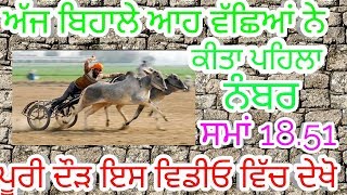 Behala ox races ।। Fastest time ।। ਜੇਤੂ ਗੱਡੀ ।। Khalsa ji ।। Malwa tv ।।