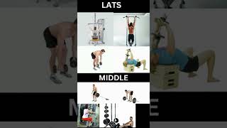 Back Day Exercise | Full back Workout LAT+MIDDLE+LOWER |  #shorts