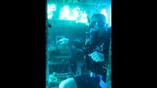 Jamaica diving April 2018