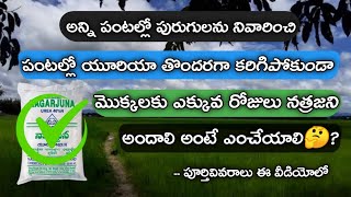 అన్ని పంటల్లో పురుగులను నివారించడానికి మరియు పంటల్లో యూరియా తొందరగా కరిగిపోకుండా ఉండేందుకు ఎంచేయాలి🤔