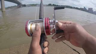 5-27-19 10lbs Channel OHIO RIVER bank fishing(Cincinnati)