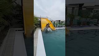 Pool Me slide Krte huye😂🥰 #trendingshorts #funny #swimming #viral #viralsong