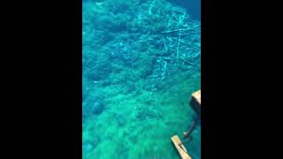 Swimming underwater in a natural pool (cenote) in northern Mexico. (7/15/23)