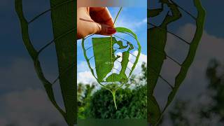 Leaf cutting art|couple #shortsvideo#youtubeshorts#youtubeshortsvideo#art#leafart#couple #artbypreyo