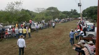 Coleo en la Inspección de Caracol Villanueva, Arauca