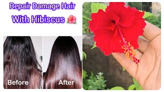 Repair Damage Hair with This Natural Diy Hibiscus Gel & Hibiscus Cream#haircare