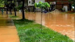 Desespero dos moradores da Avenida londrina veneza II.