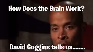 David Goggins and Brain Function