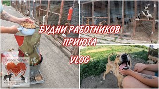 БУДНИ РАБОТНИКОВ ПРИЮТА | VLOG 1