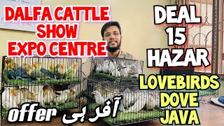 Deal 15 Hazar vip offer for dalfa cattle sho expo center visit with your family