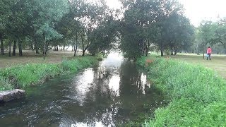 Um passeio à beira rio