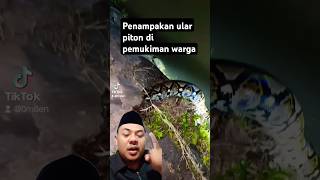 Hati hati dan selalu waspada!!! #snake #ular #cobra