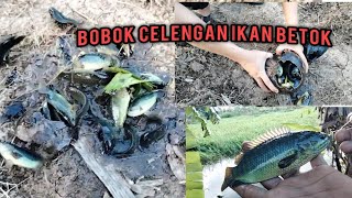 jarang di pancing ll spot ikan betok babon ll pesta strek