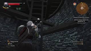 The Witcher 3 Wild Hunt Ps5 Bölüm 17