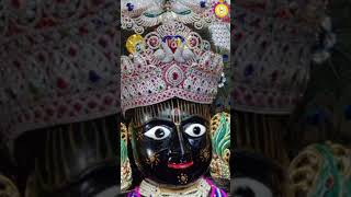 Nand Kishore Kuvar Hari.... | Vadtal Dham | Shree Krishna Status....