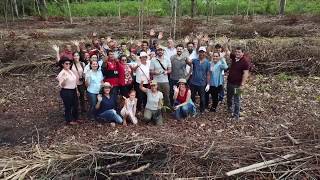 Design Amazônico - Workshop de apresentação - WRI Brasil