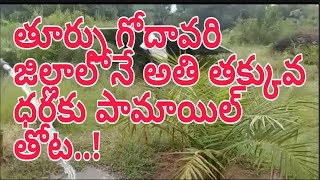 plam oil garden For Sale||land for Sale||real estate||Royal Real estate tv||