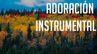 MUSICA CRISTIANA PARA ORAR 🎹  ADORACIÓN Y ALABANZA INSTRUMENTAL 2020 🔥 GRACIAS CRISTO