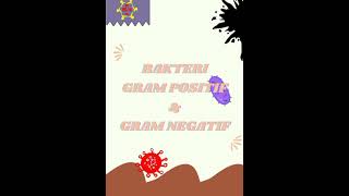 Bakteri Gram Positif dan Negatif