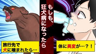 【実話】致死率100%の狂犬病になるとどうなるのか...