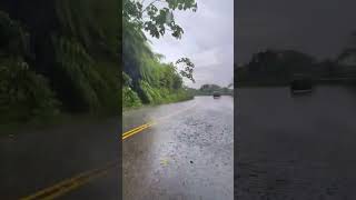 las carreteras de Chiapas llenas de maravillosos paisajes y vegetación