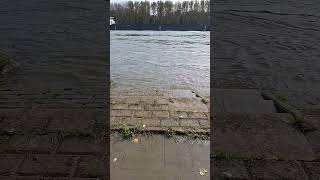 das #schiff Tokko mit einem  Bak  auf Bergfahrt auf dem #rhein Teil 3 #shortsvideo #shorts