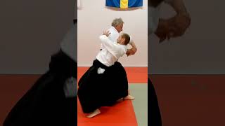 Aikido in slow motion: SHIHONAGE, omote and ura, by Stefan Stenudd