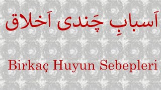 Birkaç Huyun Sebepleri   /   اسباب چندی اخلاق