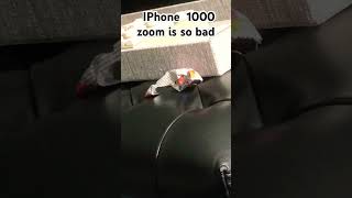 IPhone 1000 zoom sucks😡🤬😡🤬😡🤬😡🤬😡😡🤬😡😡🤬😡😡