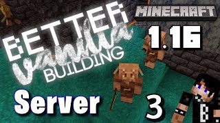 MAJOR Distraction! - Minecraft Servers - 1.16 SMP - Better Vanilla Building Server