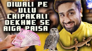 Diwali pe Chipkali, Ullu dekhne se AIGA PAISA 💸💸😜😜 || Happy Diwali #HappyDiwalI #Diwali