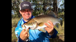 Impoundment Rat Barra