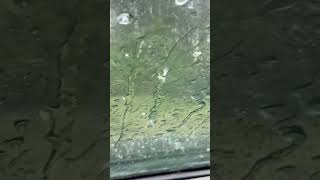 HAIL STORM IN A CAR - In the Adirondack Mountains