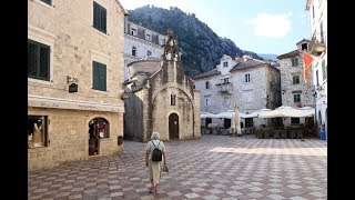 Visiting Kotor (and its cats), June 2018