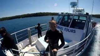 Freediving at Tobermory